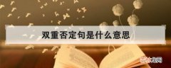 示例一看便知 双重否定句是什么意思