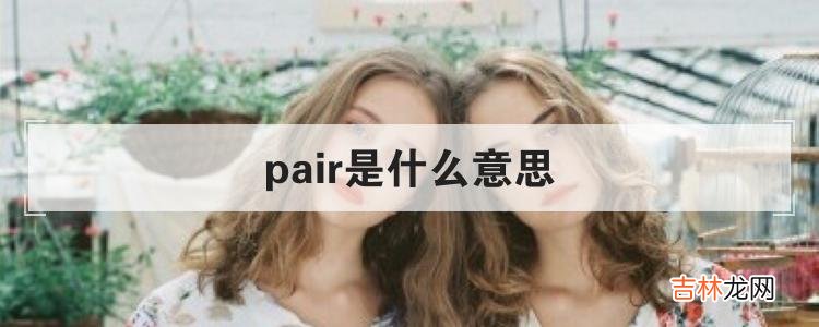 含义详解 pair是什么意思