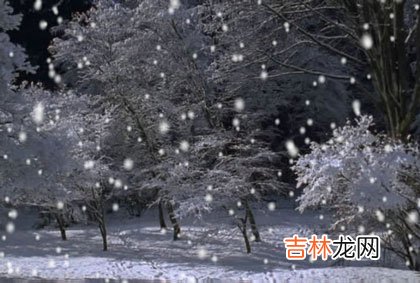 含义详情 snowy是什么意思中文