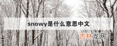 含义详情 snowy是什么意思中文