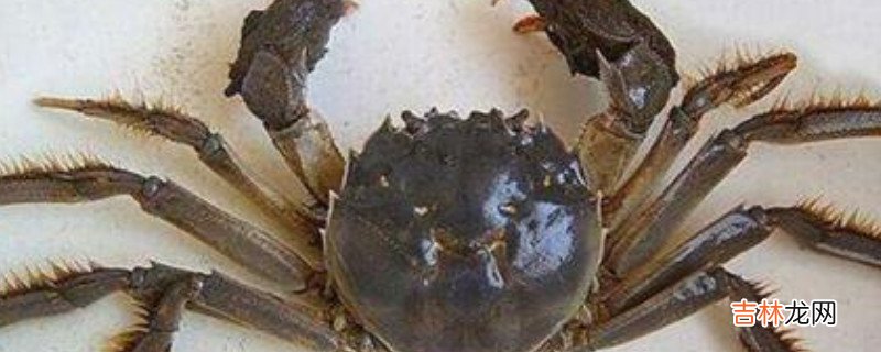 湖蟹和海蟹有什么区别