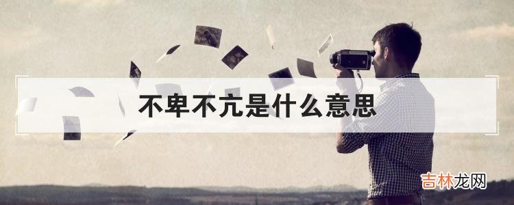 不卑不亢是什么意思