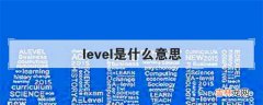 level是什么意思