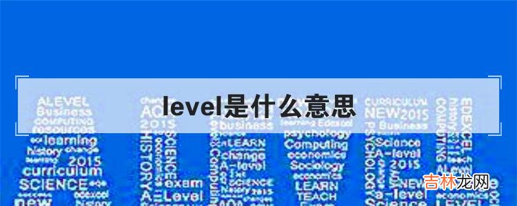 level是什么意思