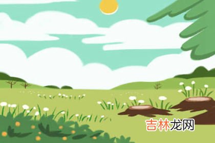 平地木命 姓名算命预测打分_2020年出生是什么命?