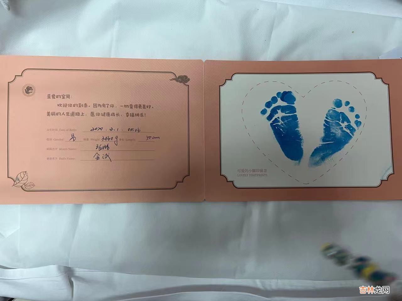 虎虎前妻是谁 小老虎老婆