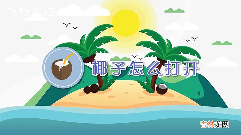 椰子怎么打开