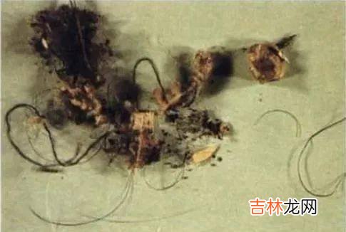 杀死妻子后，他将冻硬的尸体放进了切割机中