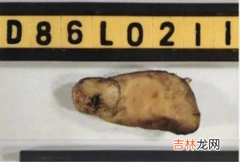 杀死妻子后，他将冻硬的尸体放进了切割机中