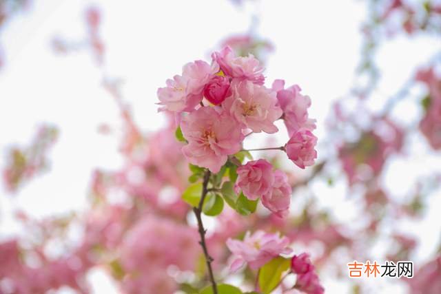 人老了，和子女搞好关系的办法：不管不问