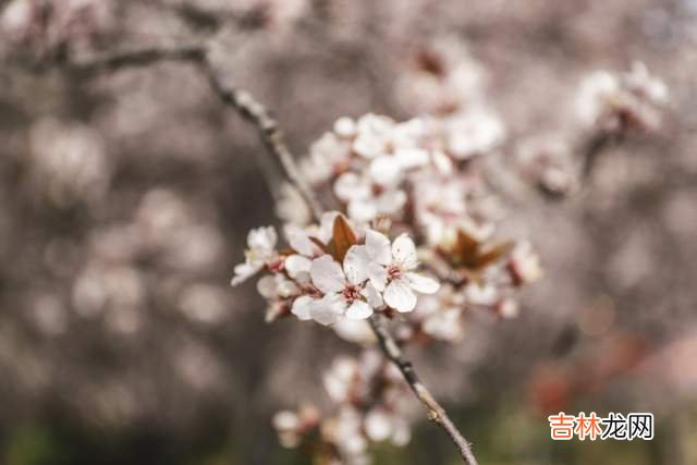 人老了，和子女搞好关系的办法：不管不问