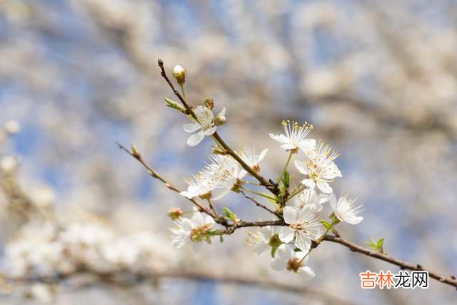 人老了，和子女搞好关系的办法：不管不问