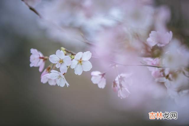 人老了，和子女搞好关系的办法：不管不问