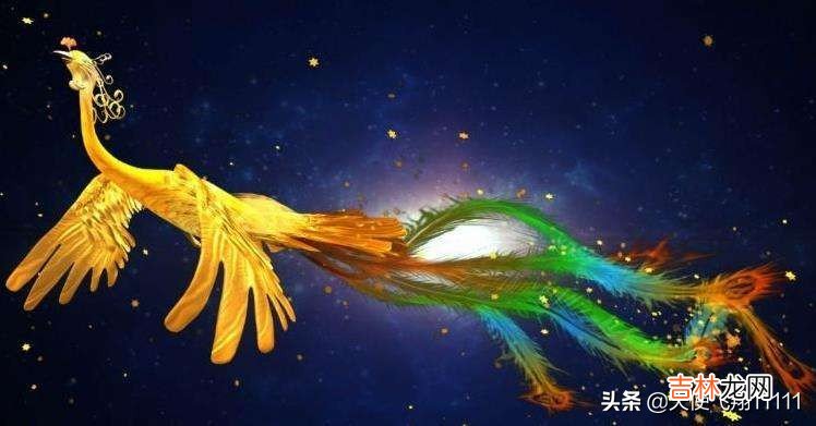 十大网络神兽图片 网络十大神神兽排名