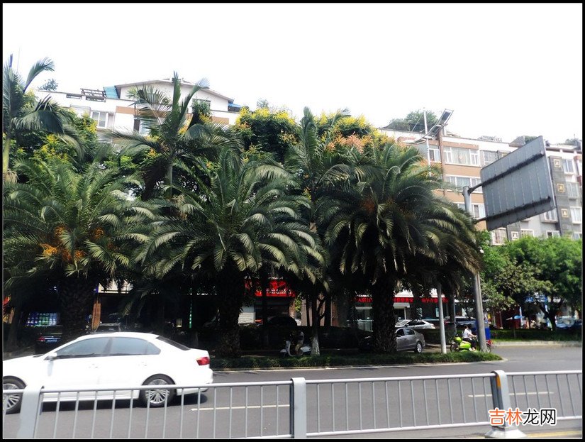 探索发现乐山大佛耳洞 探索发现乐山大佛全集