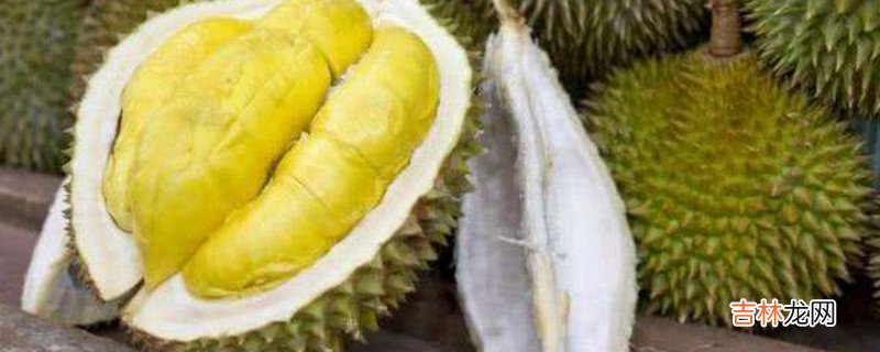 榴莲怎么打开外壳