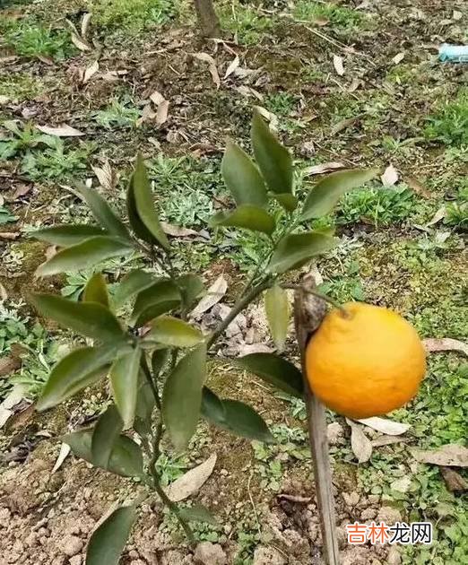 搞笑幽默段子笑话图片不笑你抽我：男人不想分手的原因有2个