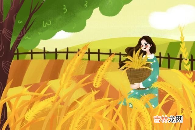 女人决定不爱了，就真的留不住了