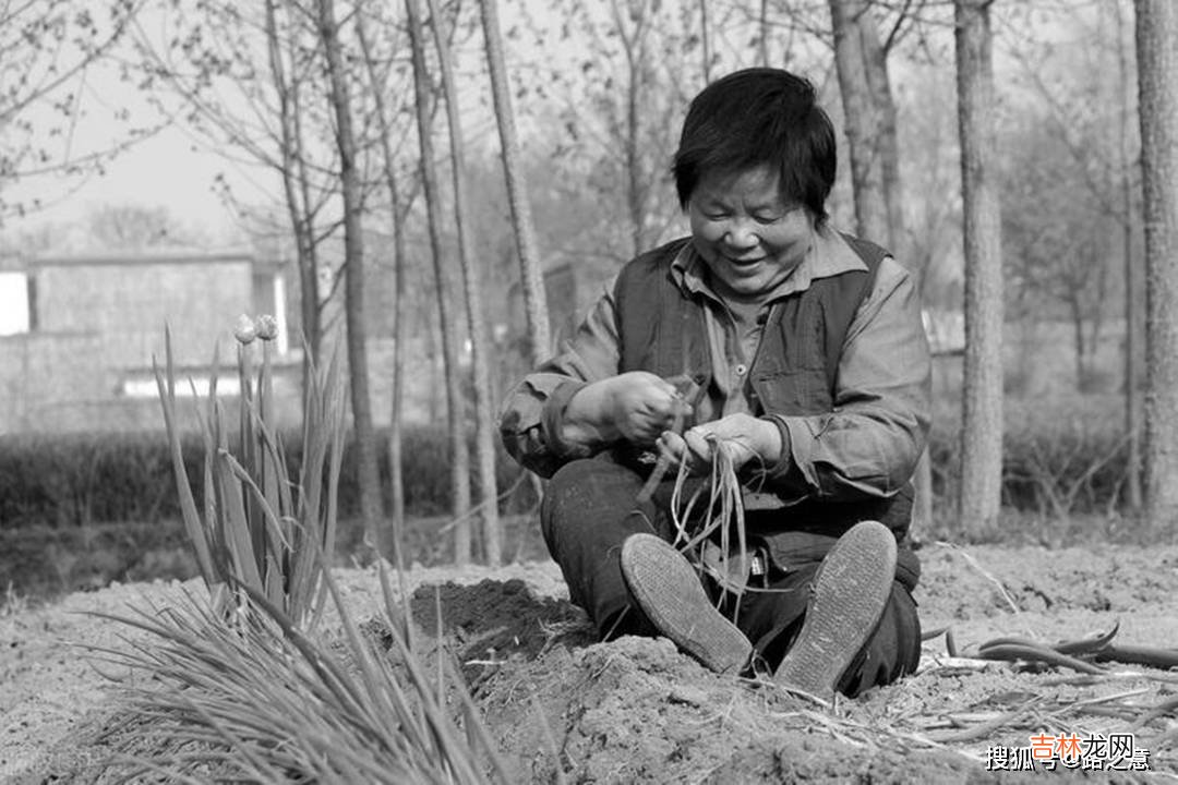 男子创业发财回家却装穷,婆媳联手讨债酿悲剧,1999年南昌情杀案