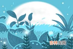 算命_为什么说四柱纯阳不算命？四柱纯阳特点