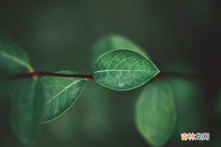 一场空难，一场关于生存和共存的考验