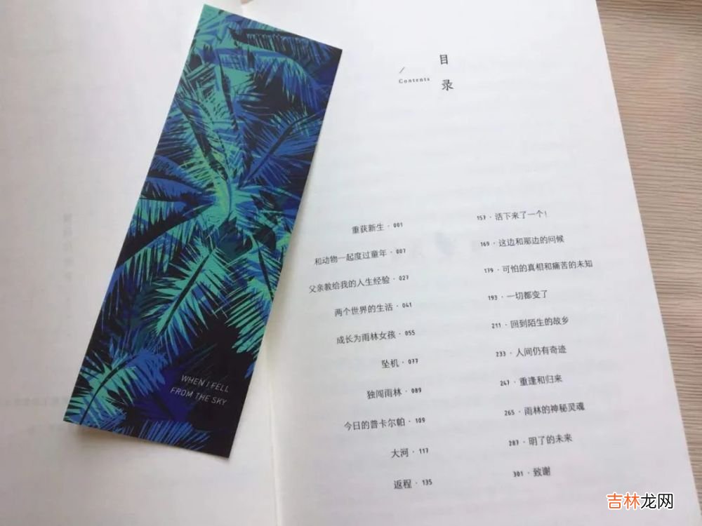 一场空难，一场关于生存和共存的考验