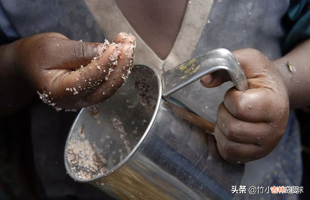 比米尼大墙图片 比米尼大墙打捞