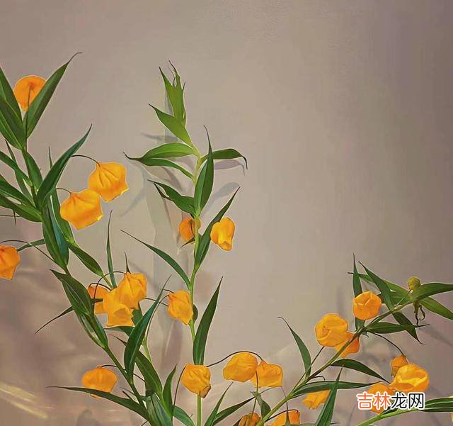 男女相处，深得男人心的，是能为他做“这四件事”的高情商女人