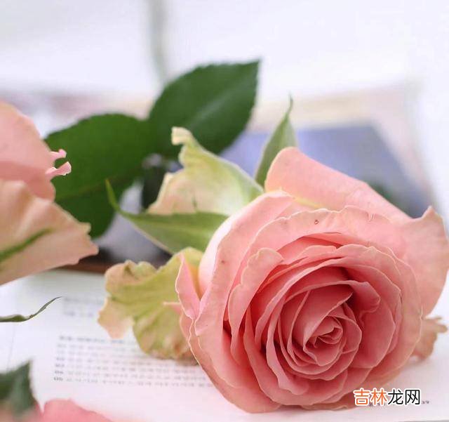 男女相处，深得男人心的，是能为他做“这四件事”的高情商女人