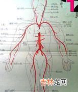 身体无缘无故淤青是怎么回事？该怎样缓解？