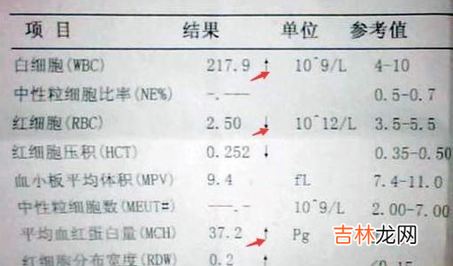 自己读懂血常规检验报告单