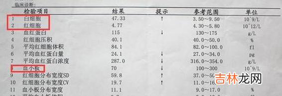 自己读懂血常规检验报告单