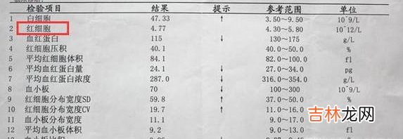 自己读懂血常规检验报告单