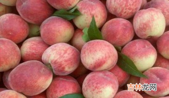 桃和瓜能一起吃吗