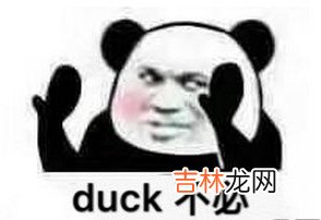 duck是什么意思