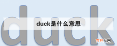 duck是什么意思