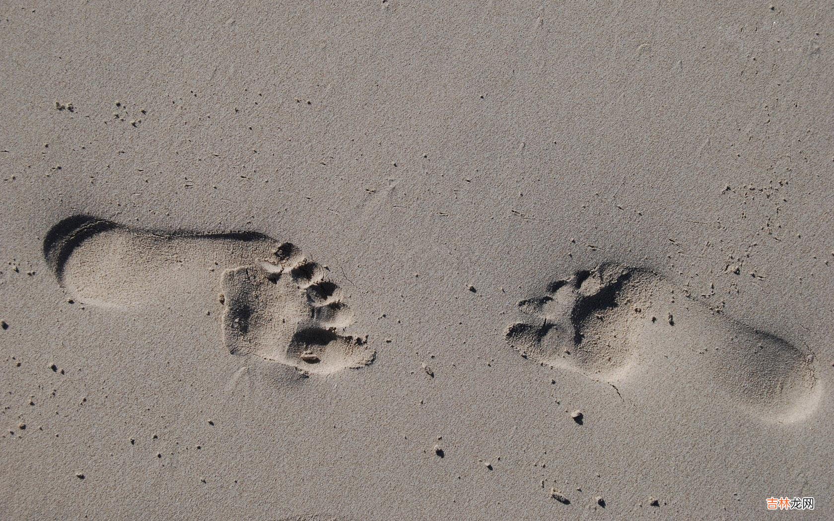 七年之痒是什么意思