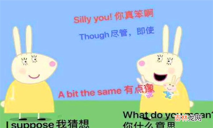 silly是什么意思