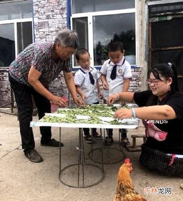 15年湖北无腿妈妈试管生下双胞胎，后孩子有发育障碍，近况如何？