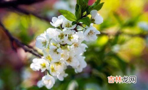 一场疾病让54岁的女人看清了现实：往后余生，靠谁都是有条件的