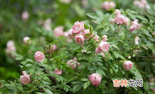 一場疾病讓54歲的女人看清了現實：往後余生，靠誰都是有條件的