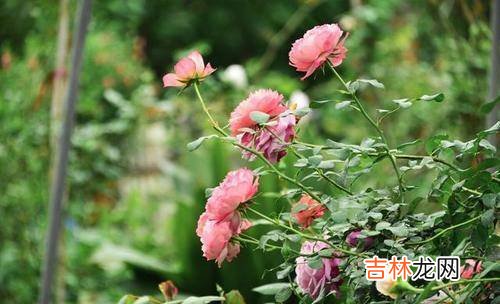 一場疾病讓54歲的女人看清了現實：往後余生，靠誰都是有條件的