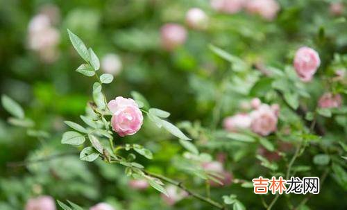 一场疾病让54岁的女人看清了现实：往后余生，靠谁都是有条件的