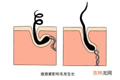 男生的荷尔蒙干嘛的? 男生的荷尔蒙是什么?