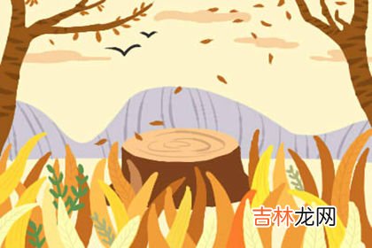 三藏免费算命官网_风水命理说天干不透地支不藏意思何解