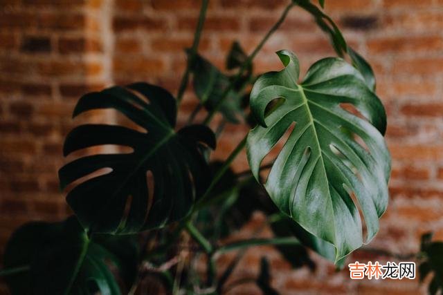 在感情中，一个人“主动久了”，是会累的