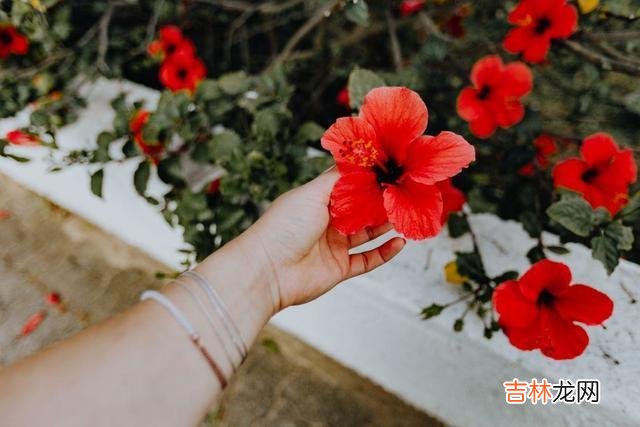 在感情中，一个人“主动久了”，是会累的