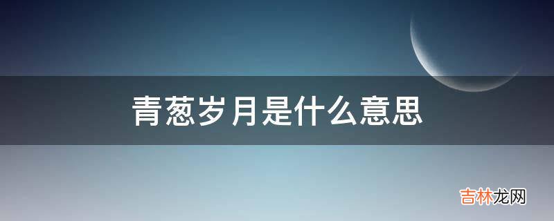 青葱岁月是什么意思