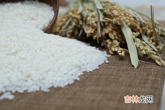夏天米面怎样放不生虫