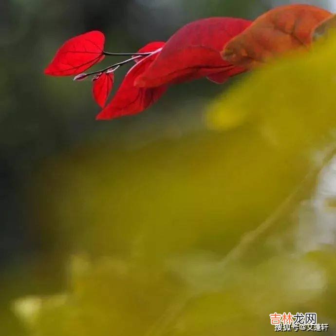 女性初秋别“冻人” 这三地方要捂!!